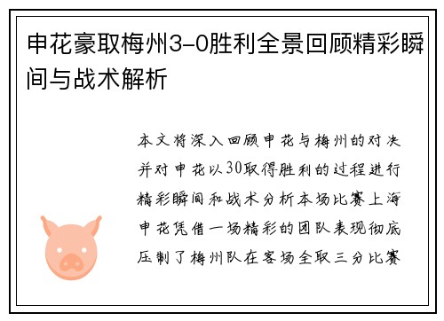 申花豪取梅州3-0胜利全景回顾精彩瞬间与战术解析
