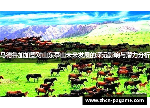 马德鲁加加盟对山东泰山未来发展的深远影响与潜力分析 马德鲁加加盟对山东泰山未来发展的深远影响与潜力分析