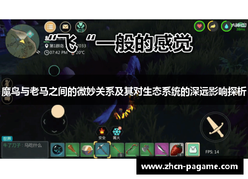 魔鸟与老马之间的微妙关系及其对生态系统的深远影响探析 魔鸟与老马之间的微妙关系及其对生态系统的深远影响探析