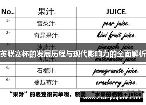英联赛杯的发展历程与现代影响力的全面解析 英联赛杯的发展历程与现代影响力的全面解析