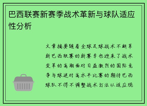 巴西联赛新赛季战术革新与球队适应性分析 巴西联赛新赛季战术革新与球队适应性分析