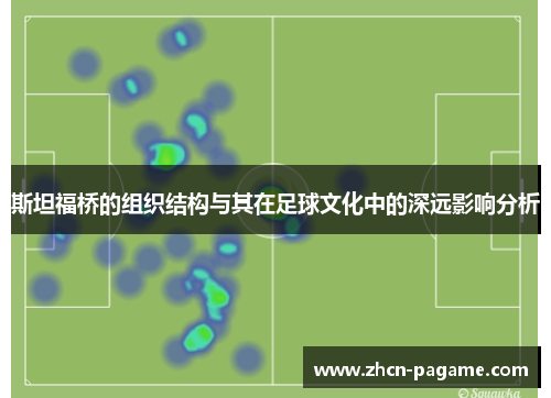 斯坦福桥的组织结构与其在足球文化中的深远影响分析 斯坦福桥的组织结构与其在足球文化中的深远影响分析